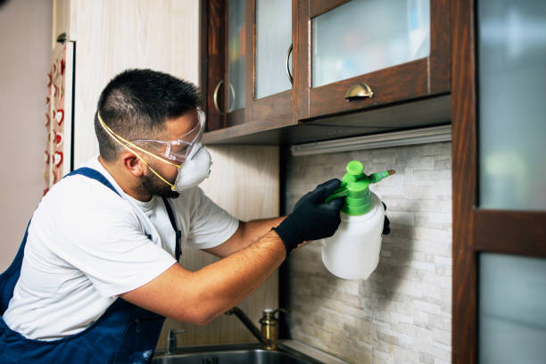 Best Pest Prevention Services  in Budd Lake, NJ