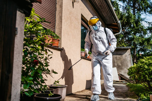 Best Pest Inspection Near Me  in Budd Lake, NJ
