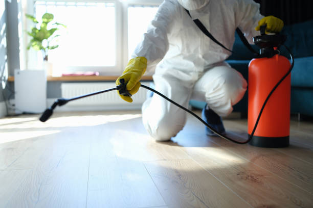 Best Pest Inspection Near Me  in Budd Lake, NJ