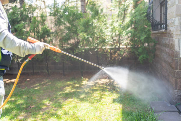Best Affordable Pest Control Services  in Budd Lake, NJ