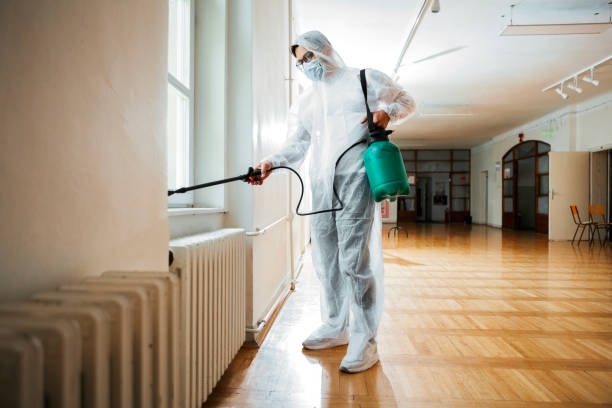Best Mosquito Control Services  in Budd Lake, NJ