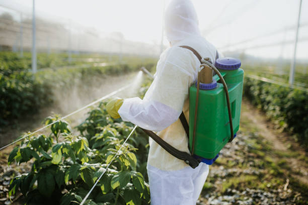 Best Emergency Pest Control  in Budd Lake, NJ